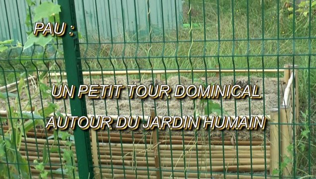 LES PROMENADES DE MICHOU64 W-D.D. - 30 AOÛT 2020 - PAU - UN PETIT TOUR DOMINICAL AUTOUR DU JARDIN HUMAIN