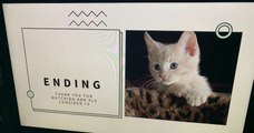 Une jeune fille fait une présentation Powerpoint pour convaincre ses parents de lui offrir un chat