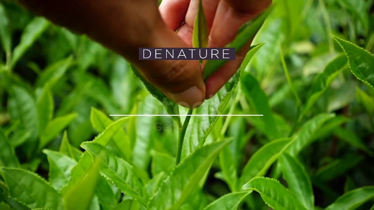 Gejala Kencing Nanah Brainly