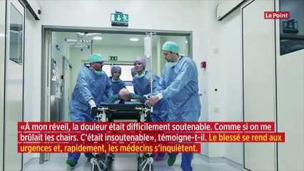 Meurthe-et-Moselle : un homme mordu chez lui par une araignée exotique