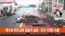 강한 비바람 '하이선'에 2명 실종·5명 부상