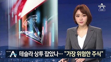 테슬라 상투 잡았나…“월가서 가장 위험한 주식”