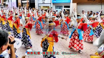 ☆彡　Festival Yosakoi　2017　HONIYA　よさこい祭り２０１７　ほにや　本祭　帯屋町演舞場　　スタート～オビパラ　もう一つのよさこい祭２０２０版