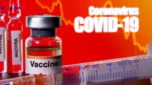 Vaccine developers plan joint safety pledge according to reports