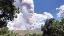 Pyrotechnic device at gender-reveal party causes California wildfire