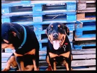 France 3 Rhone Alpes 18/02/2008