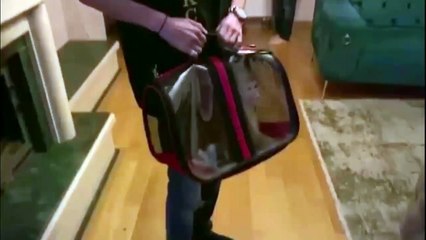 Son dakika: Youtuber Meriç İzgi'ye ikinci maymun operasyonu | Video