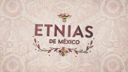Etnias de México - Mayas