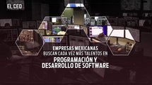 Empresas mexicanas buscan cada vez más talentos en programación y desarrollo de software