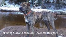 Episode 1: Alano Español - Carlos Gonzalez