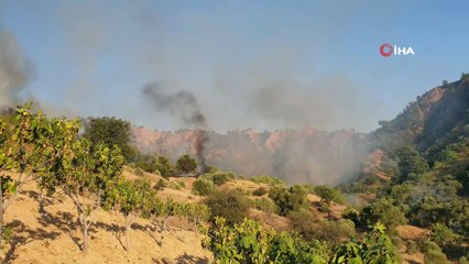 Zirai alanda yangın çıktı