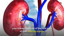 10 Signs of Chronic Kidney Disease - [chronic kidney disease symptoms