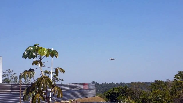 [SBEG Spotting]Airbus A321 PT-MXD na final antes de pousar em Manaus vindo de Brasília(06/09/2020)