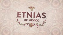 Etnias de Mexico - Zapotecas