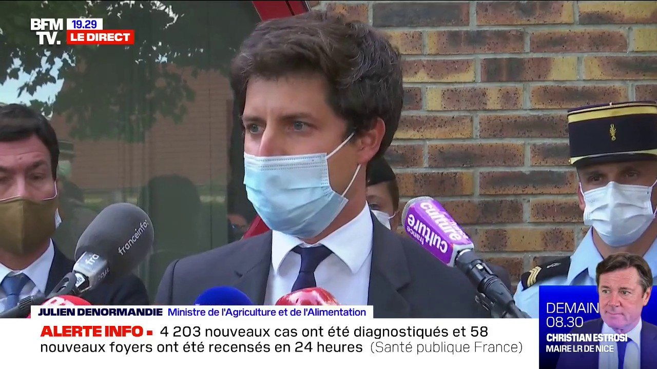 Chevaux mutilés: pour Julien Denormandie, "c'est une situation inacceptable qui est prise très au sérieux par le gouvernement"