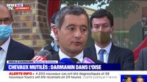 Chevaux mutilés: selon Gérald Darmanin, 