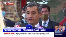 Chevaux mutilés: Gérald Darmanin appelle à 