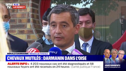 Chevaux mutilés: Gérald Darmanin appelle à "la mobilisation générale des Français pour signaler à la gendarmerie tous les indices"