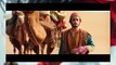 Mulan  film - I Watched Mulan So You Don't Have To...