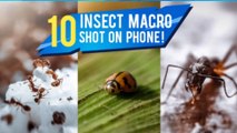Macro photography tips and tricks 2020 | how to do macro photography with your smartphone | external macro lens used