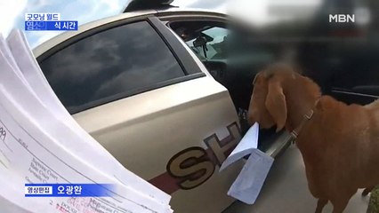 [굿모닝월드] 염소의 간식 시간