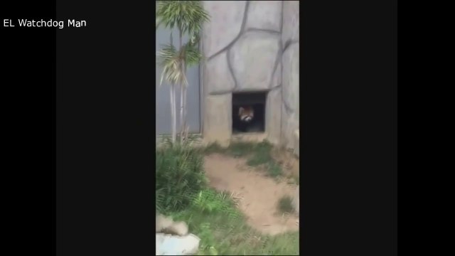 VIDEOS de RISA nivel DIOS - [ VIDEOS de RISA caidas 2019 ]-videos graciosos de caidas