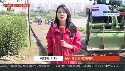 태풍 할퀴고 간 울산…태화강변 복구작업 본격 나서