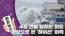 [15초 뉴스] 4층 건물 때리는 파도...영상으로 본 태풍 '하이선' 위력 / YTN