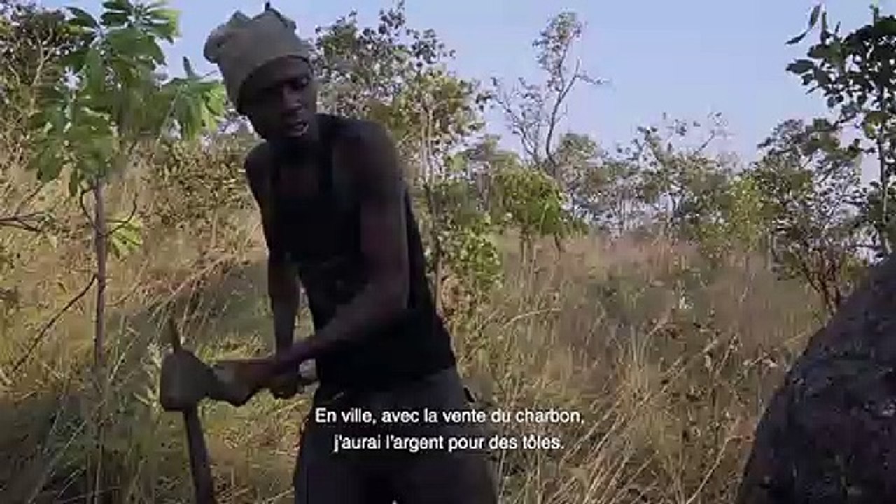 Makala (2017) - Bande annonce