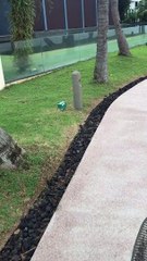 Sentosa Cove 5 | Anthony S Casey Singapore