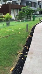 Sentosa Cove 4 | Anthony S Casey Singapore