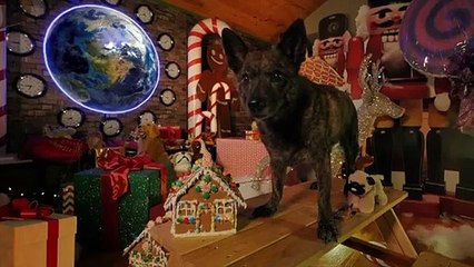 Santa Stole Our Dog movie