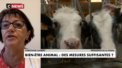 Christiane Lambert, présidente de la FNSEA : « Depuis pas mal d’années nous faisons le constat d’une difficulté pour les abattoirs à se moderniser » #LaMatinale