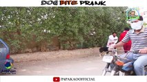 Dog Bite Prank By Nadir Ali & Team P4Pakao