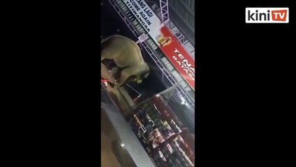 Gempar gajah liar masuk kedai cari makanan