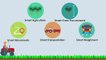 Infographic Animation - Sugar Cane Management