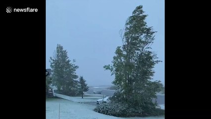 Snow blankets parts of Wyoming