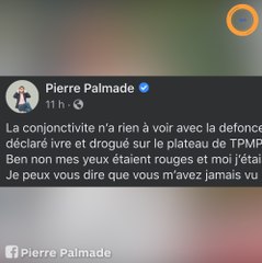 Pierre Palmade répond à ses détracteurs après son passage dans TPMP