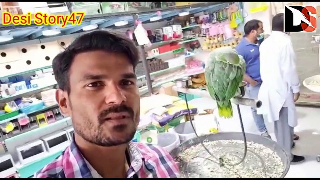 PARROT SAUDI ARABIA MARKET