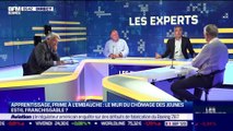 Les Experts: Que penser du plan de relance pour favoriser l'emploi des jeunes ? - 08/09