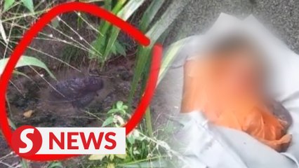 Newborn baby girl found abandoned in ditch
