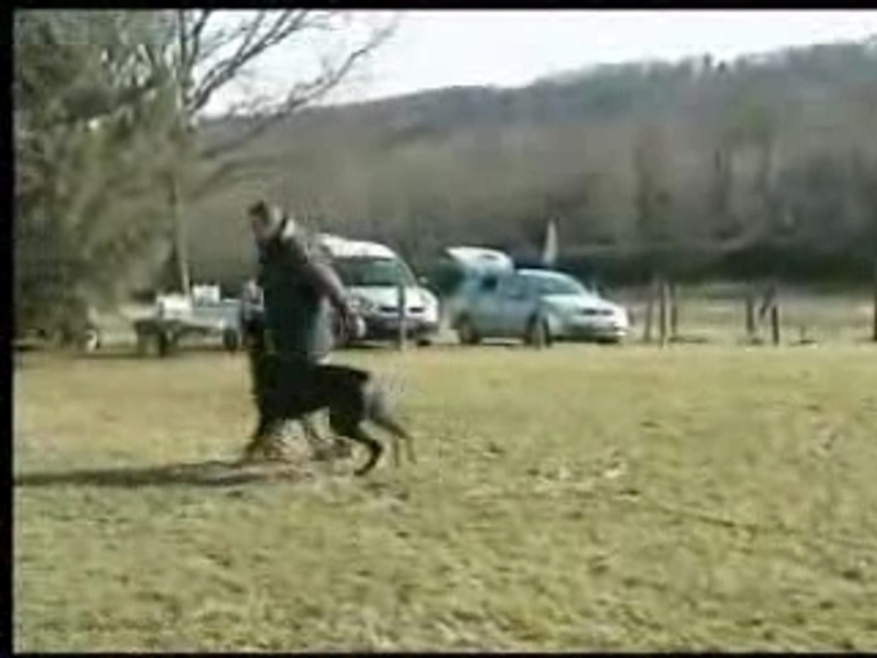 Urka marche pieds janvier 2008
