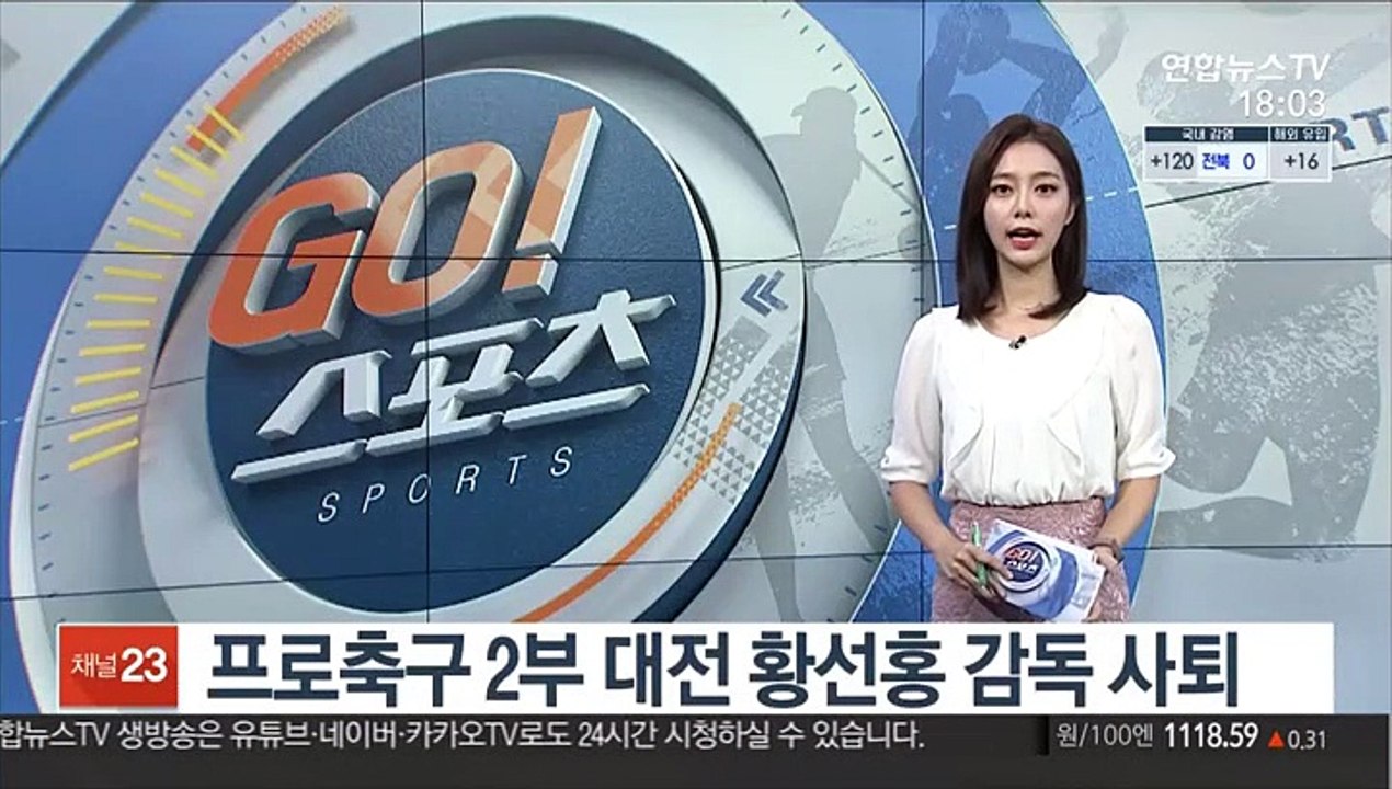 프로축구 2부 대전 황선홍 감독 사퇴