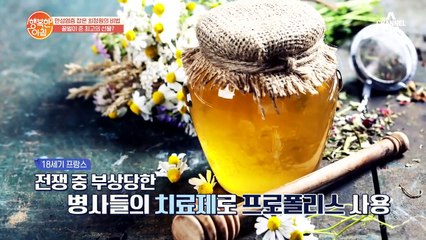 노화 예방에 특효! [프로폴리스]의 항산화 효과