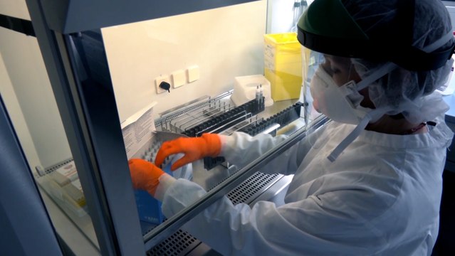 La pandemia supera los 892.000 muertos con más de 27,3 millones de casos en todo el mundo