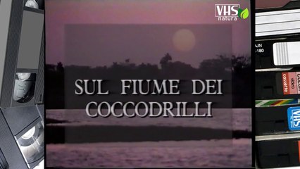 SUL FIUME DEI COCCODRILLI