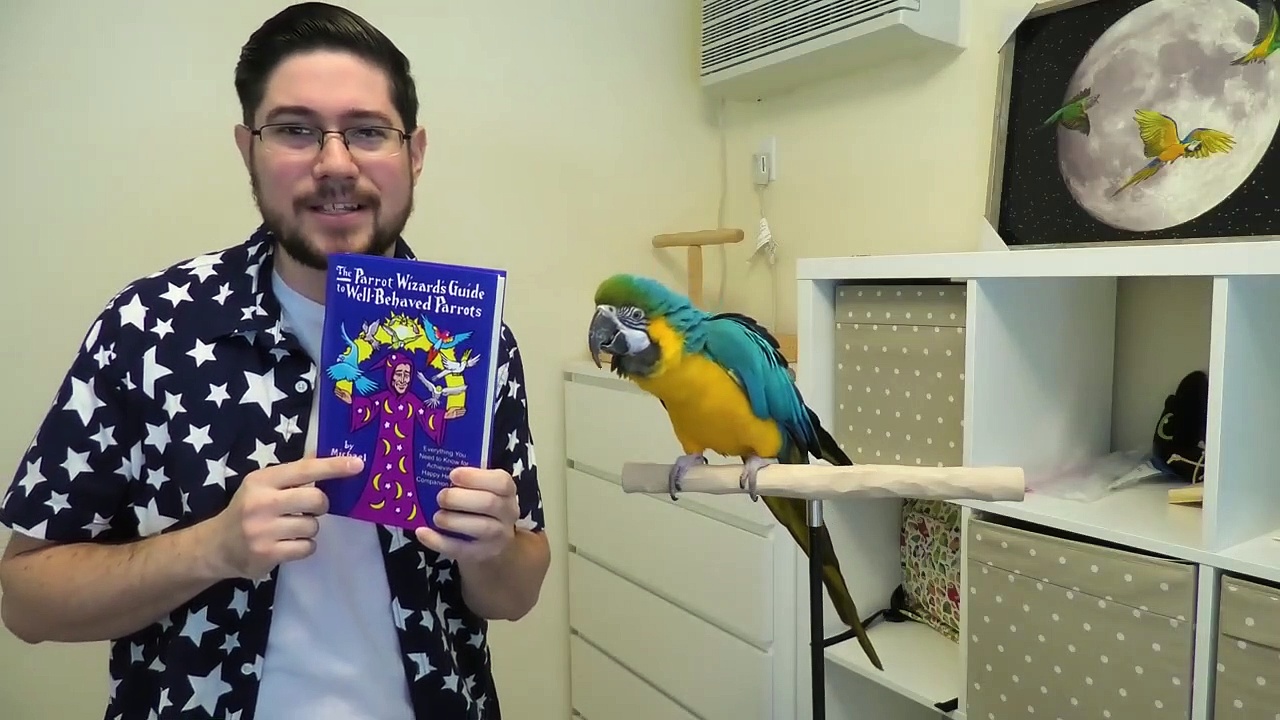 Stop Parrot Biting – Guaranteed Way to Prevent Bites!