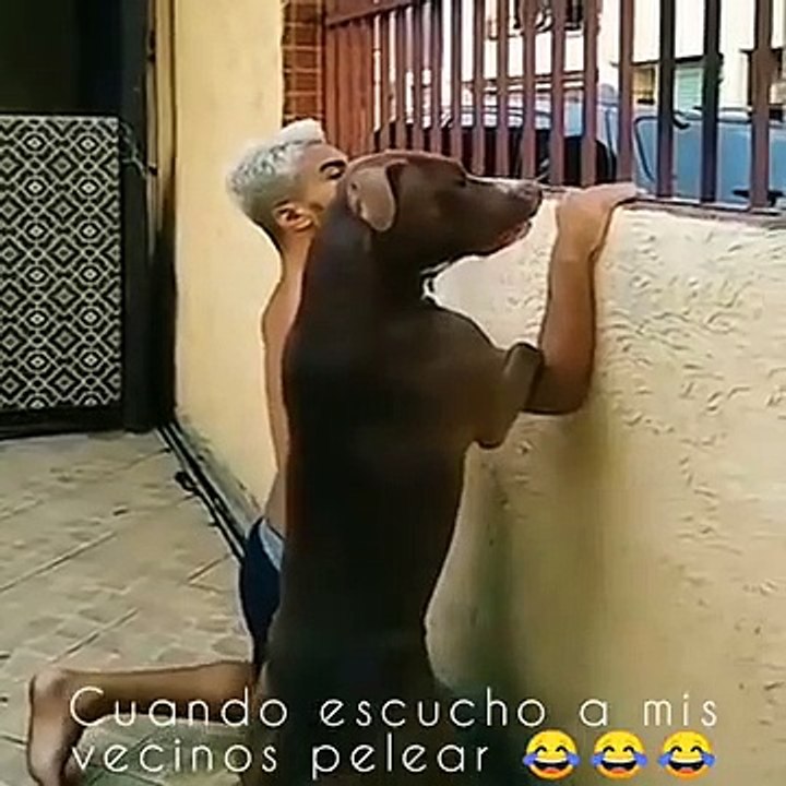 El poder del chisme