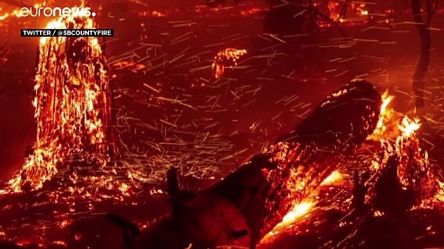 Площадь пожаров в Калифорнии превысила 880 тысяч гектаров