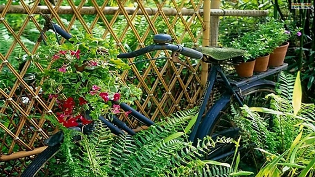 Small Garden Design Ideas - Beautiful Houses